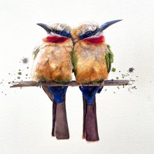 ‘Tweedle Dee, Tweedle Dum”, Bee Eaters in watercolour. Watercolor Painting project by Sarah Stokes - 10.06.2023